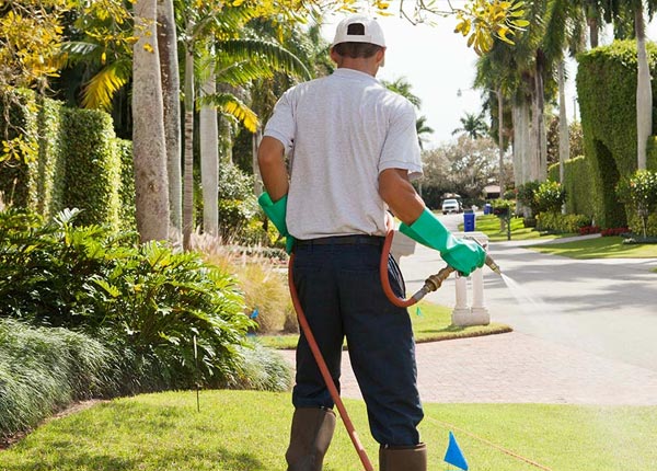 About South Houston TX Pest Control Pros